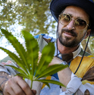 THX OHX PINACA hash dangerous