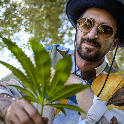 THX OHX PINACA hash dangerous