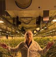 Indoor-CBD-Hanfanbau in der Schweiz
