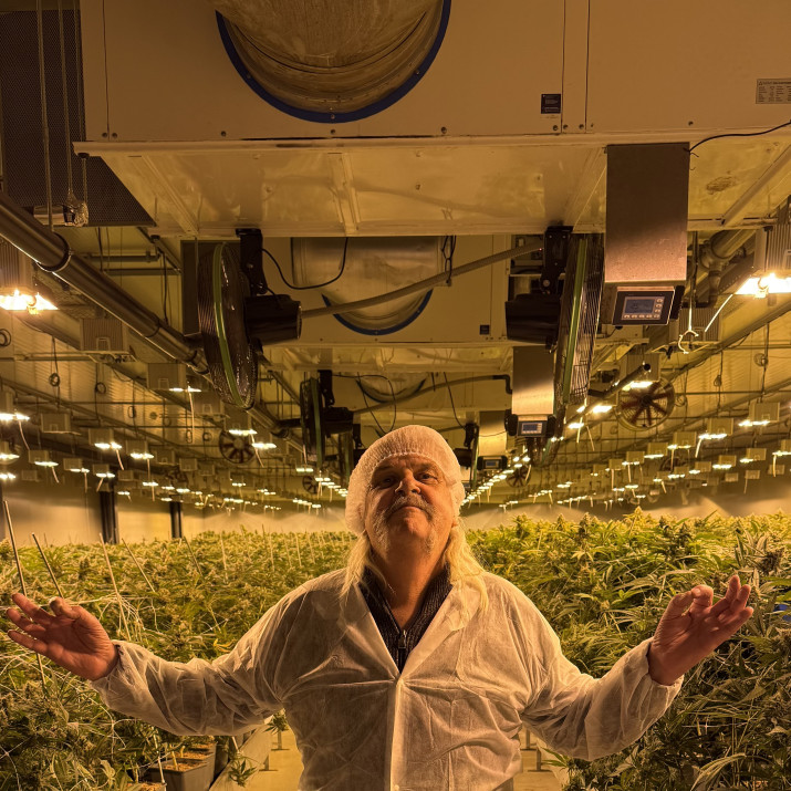 Indoor CBD hemp cultivation in Switzerland